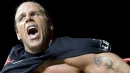 shawn michaels
