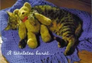 perfect friend - tÃ¶kÃ©letes barÃ¡t