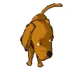 Dog wagging his tail.