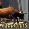 Taurus