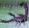 scorpio