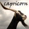 Capricorn