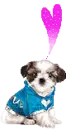 KAWAII PUPPY