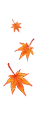 Autumn Leaves