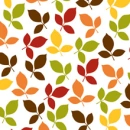 ORCHARD