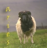Aries