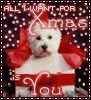 All I want for Christmas