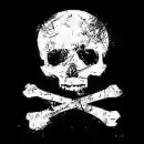 THE skull