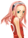 sakura