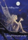 Catch a falling star