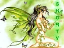 Shorty's Fairy
