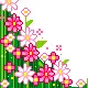 cute flowers