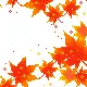 fall