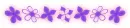 glowing flowers