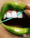 greenlips