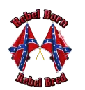 rebel born rebel bred