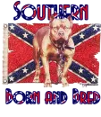 southern born and bred