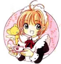 CCS sd