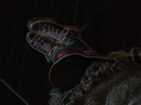 cute socks