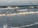 Florida, Jacksonville
