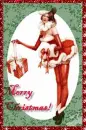 Merry Christmas Pinup