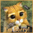 I'm Sorry