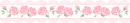 cute roses