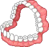 teeth