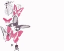 butterflies