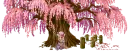 pink tree