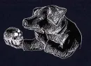 pig with a skull