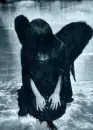 black angel