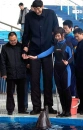 tallest man 