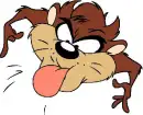 taz