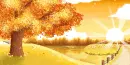 fall