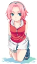 Sakura Cute