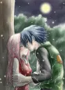 sakura and sasuke