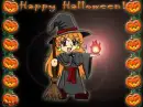 Happy Halloween