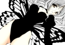 black butterfly