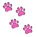 paws