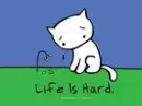 Life is hard