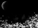 leaves and moon