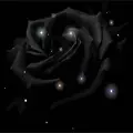 Black Rose+Girl = Strong Girl