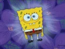 "stiLL spOngebob!!!"