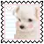 STAMP CLUB