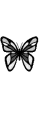 grey butterfly