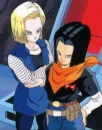 C17 and C18
