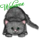 cute kitten - welcome
