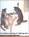 Kung Fu Cats