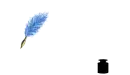 garry blue feather ink